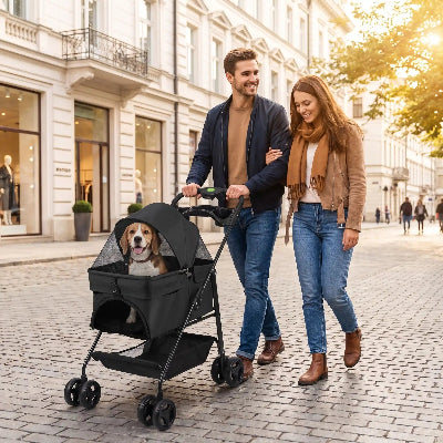 poussettes pour chiens portable et durable maître balade en ville
