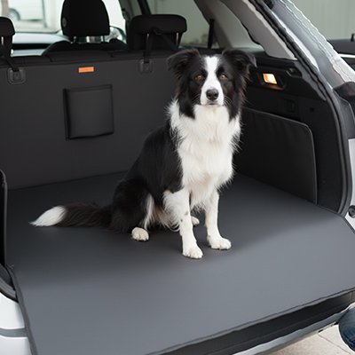 Protection chien voiture chien assis avec assurance 
