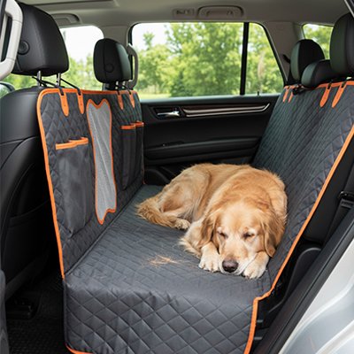 Protection chien voiture chien au confort