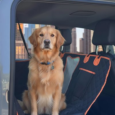 Protection chien voiture chien est en sécurité dans auto 