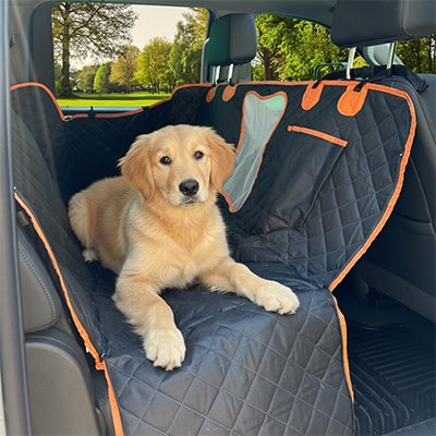Protection chien voiturechien couché dans l auto sur un parc