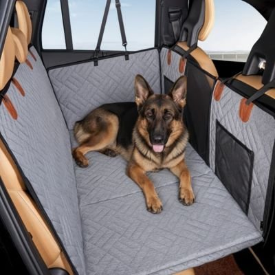 Protection voiture chien​ gris chien couché 