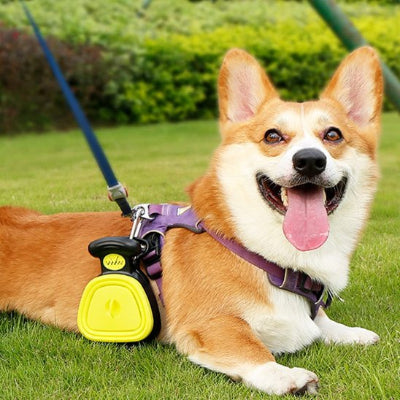ramasse crottes pour solide sans limite chien couche sur la pelouse