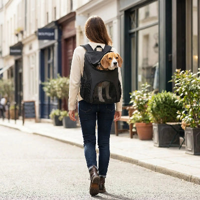 sac a doc balade confortable maitre marche son chien au dos