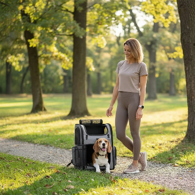 sac a dos chien conforme et sécurisant gris maitre balade au parc avec son chien