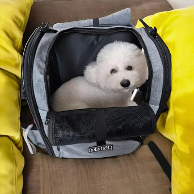 Sac a dos chien conforme et sécurisant gris petit chien
