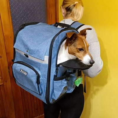 Sac  a dos chien conforme et sécurisant sac bleu sur dos maitre
