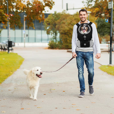 sac a dos chien maître balade chien