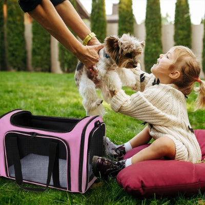 Sac a dos chien sécurité et résistant rose au parc maitre et petite fille 