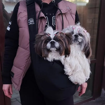 Sac a dos chien transport confortable chien balade avec son maitre