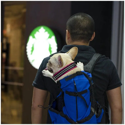 sac a dos pour chien aventure en sécurité bleu maitre