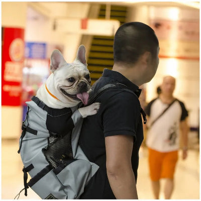 sac a dos pour chien aventure en sécurité chien sur le dos maitre
