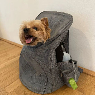 Sac a dos pour chien force et résistance chien dans son sac par terre