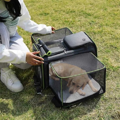 Sac a dos pour chien liberte chien dans le sac maitre