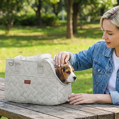 Sac de transport pour chien confort mieux voyagé chien sur un banc avec son maitre au parc  