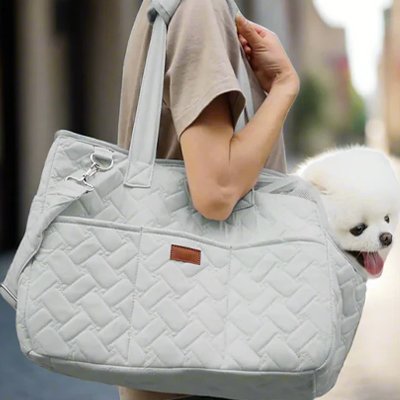 Sac de transport pour chien confort mieux voyagé gris chien balade avec son maitre 
