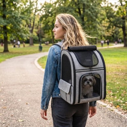 Sac de transport pour Chien gris sur le dos du maître balade
