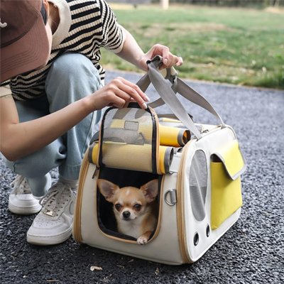 Sac de transport pour Chien liberte et confort chien dans le sac maitre
