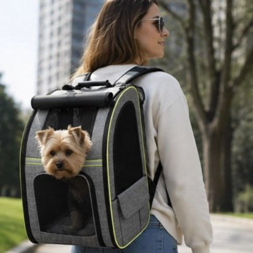 Sac de transport pour Chien sur le dos de la femme