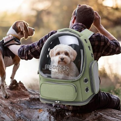 Sac transport Chien securite et confortable chien dans le sac sur le dos maitre lautre chien a cote