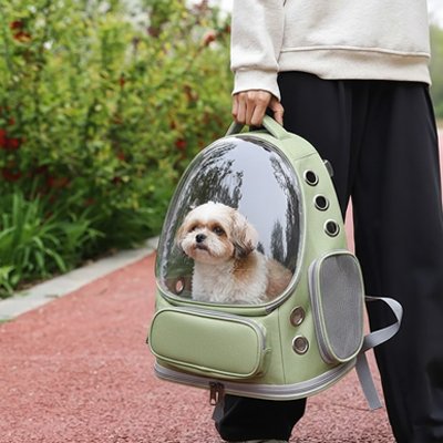 Sac transport Chien sécurité et confortable maitre transporte son chien