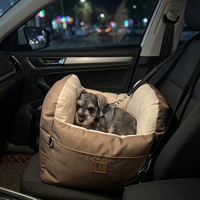 Siege auto chien doux et sécuritaire chien dort