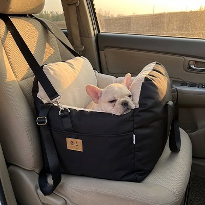 Siege auto chien doux et sécuritaire noir dans la voiture