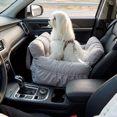 Siege auto chien résistant et fiable gris chien assis en avant