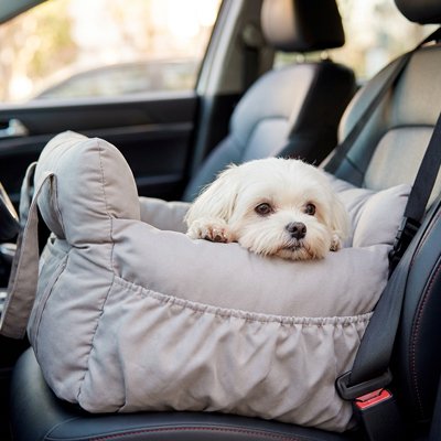 Siege auto chien résistant et fiable gris 
