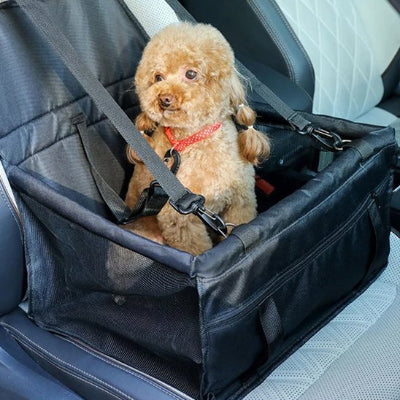 Siege auto pour chien sécurisé et confortable noir petit chien 
