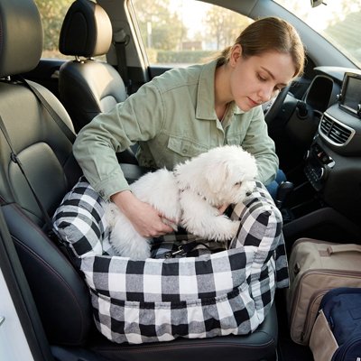  siège auto pour chien design ergonomique noir blanc maître à côté 
