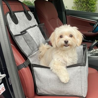 Siege auto pour chien gris résistant chien en avant la voiture 