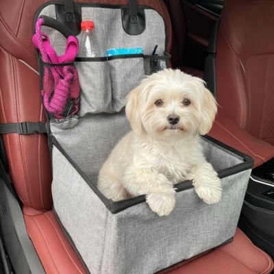 Siege auto pour chien gris résistant chiot
