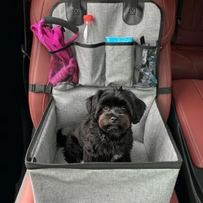 Siege auto pour chien gris résistant petit chien