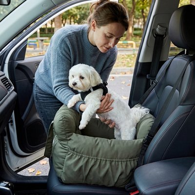 Siege auto pour chiens voyage serein petit chien maître attache