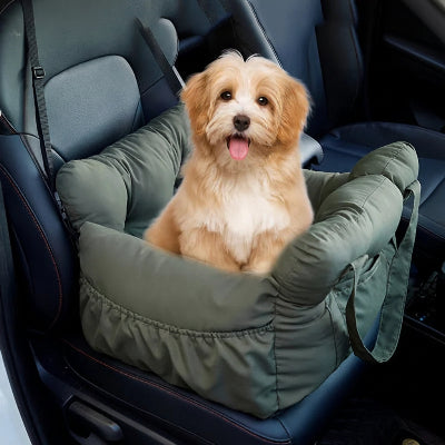 siege auto pour chiens voyage serein vert chien assis