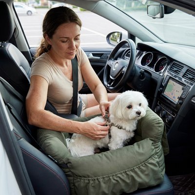 Siege auto pour chiens voyage serein vert maître 