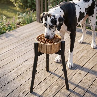 Support gamelle chien sécurisant chien mange débout 