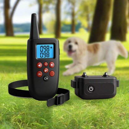 telecommande collier anti fugue de confiance